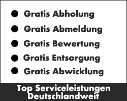 Autobewertung kostenfrei online